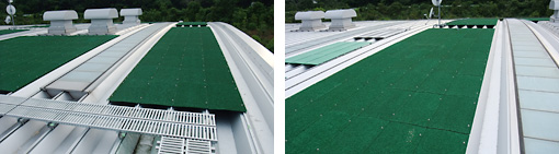 折板屋顶施工事例（约 250m<sup>2</sup>）东金科技中心