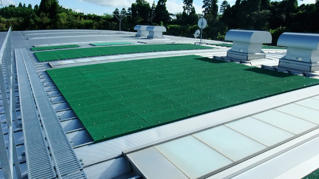 东金技研中心屋顶上设置的藓苔涂装钢板
