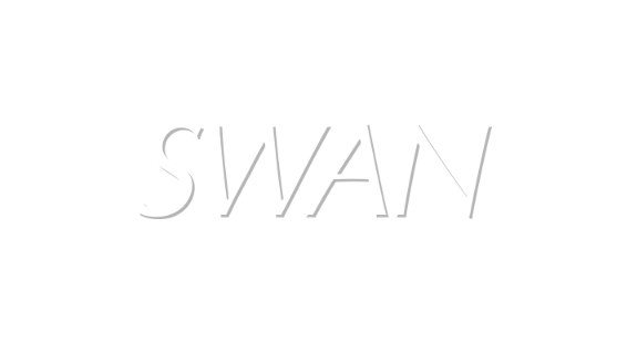 SWAN, coating robot for every work