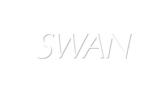 워크를 선택하지 않는 도장 로봇 SWAN