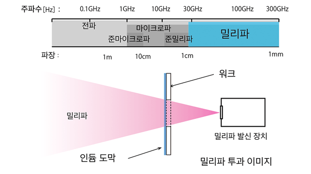 그림1 밀리미터파투과 이미지